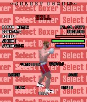 Anarchy Boxing