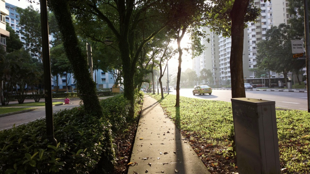 Sample photo, click to enlarge or download