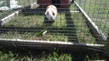 Part of a burst sequence