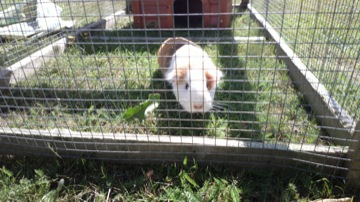 Part of a burst sequence