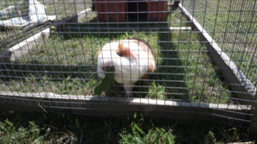 Part of a burst sequence