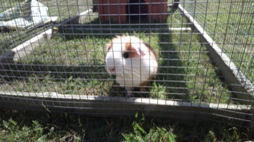 Part of a burst sequence