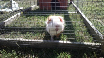 Part of a burst sequence