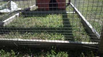 Part of a burst sequence