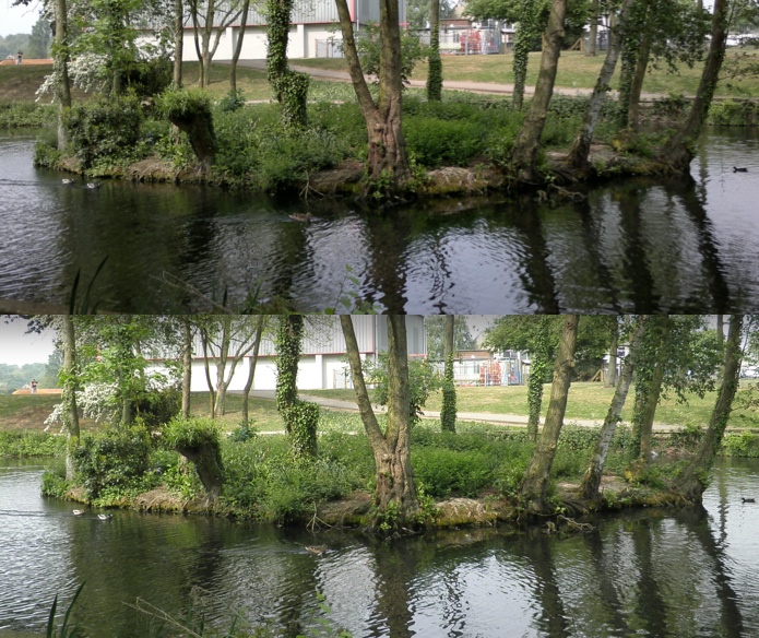 Cropped images, E7 vs Olympus