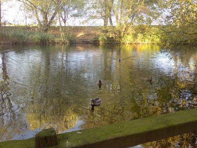 Click to download or open the full size, un-edited JPG