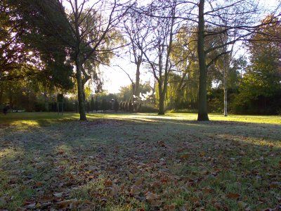 Click to download or open the full size, un-edited JPG