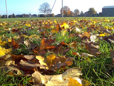 Click to download or open the full size, un-edited JPG