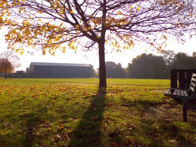 Click to download or open the full size, un-edited JPG