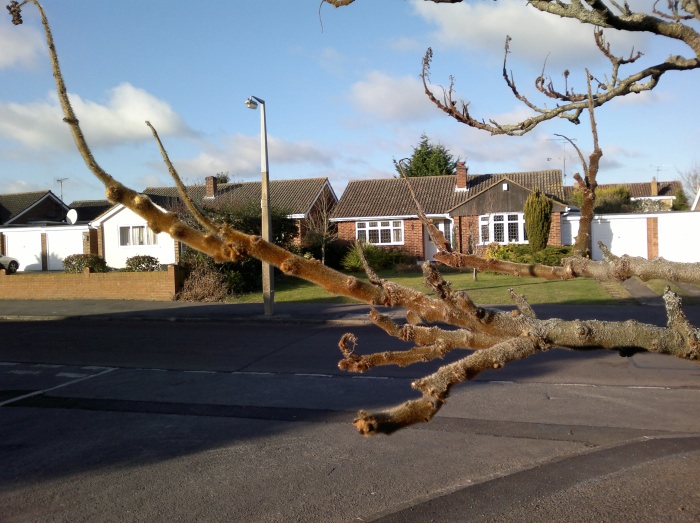 'Macro' image, click to download original or enlarge