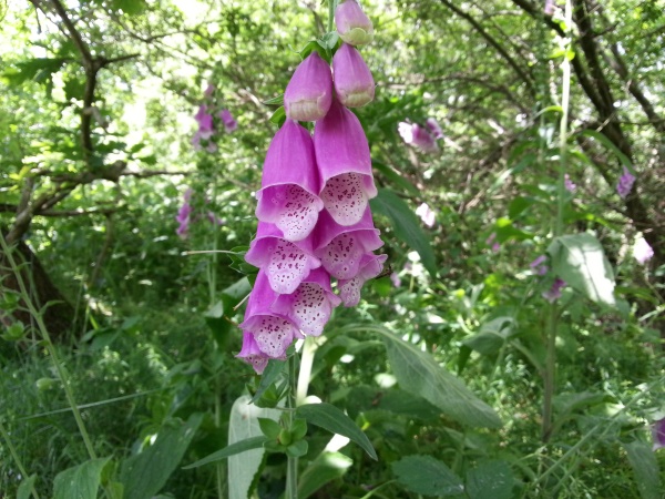 Overall scene tested