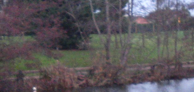 Blurring, if you don't use 'Landscape' mode