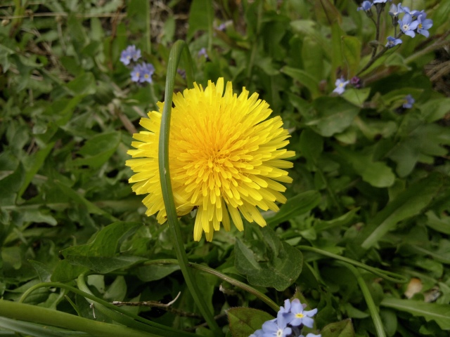 Test shot, N8 vs HTC One X