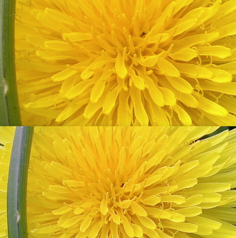 Test shot, N8 vs HTC One X