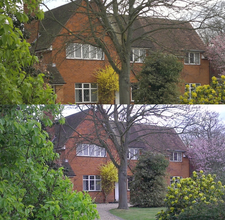 Test shot, N8 vs HTC One X