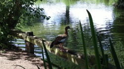 Photo from Nokia 808 - click to download or enlarge