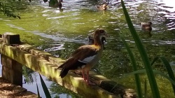 Photo from Lumia 920 - click to download or enlarge