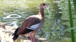 Photo from Galaxy S4 Zoom - click to download or enlarge