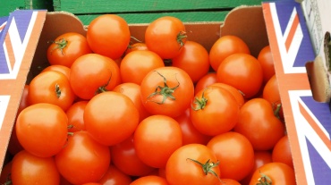 Photo from Galaxy S4 Zoom - click to download or enlarge