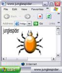176x208 nokia junglespider copy.jpg