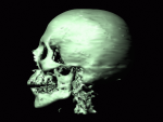 Resize of skull.gif