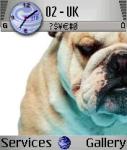 Bulldog(2).jpg