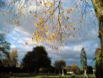autumn cemetry.jpg