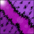 purple.jpg