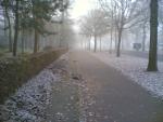 Image(006).jpg