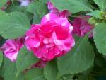 Image025.jpg
