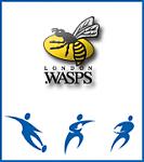 t_wasps.gif