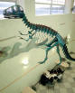 dinosaur.jpg