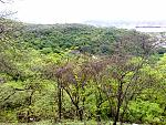 05072009076.jpg