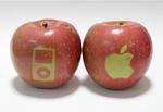 ZT Fuji Apple appel.jpg