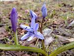 10042010430.jpg