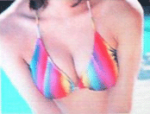 colours.gif
