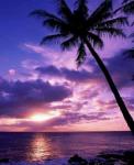 sunset 02.jpg