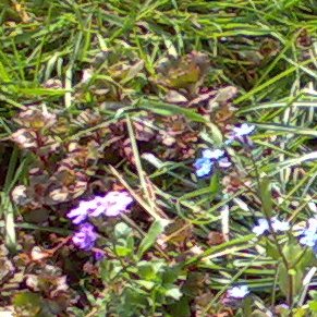 Cropped middle from test photo