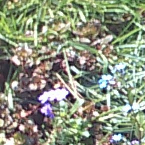 Same cropped middle section