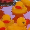 Carnival Ducks