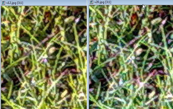 Zoomed in grass