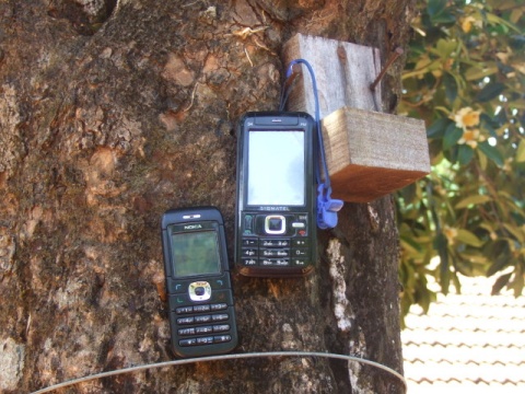 Phone Tree