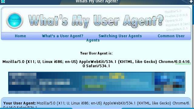 Bolt User Agent Information