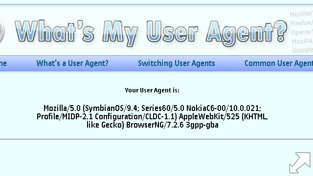 Web user agent info