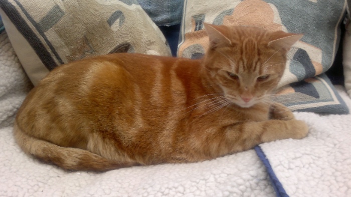 Sample photo, click to download or enlarge