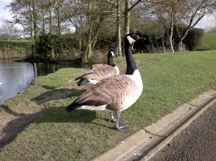 Sample photo, click to download or enlarge