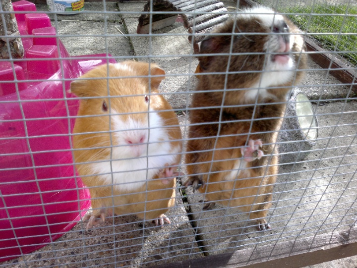 Sample photo, click to download or enlarge