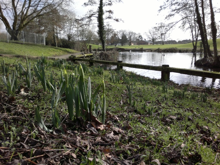 Sample photo, click to download or enlarge