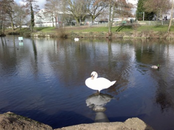 Sample photo, click to download or enlarge