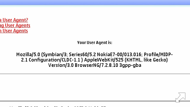 Displaying the E7 browser details